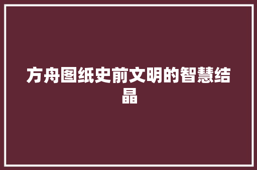 方舟图纸史前文明的智慧结晶
