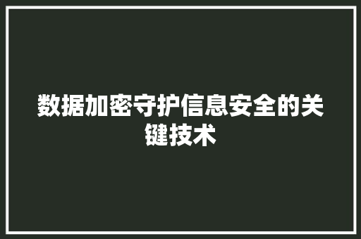 数据加密守护信息安全的关键技术  第1张