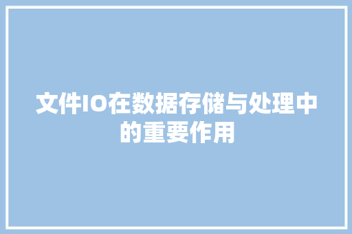 文件IO在数据存储与处理中的重要作用