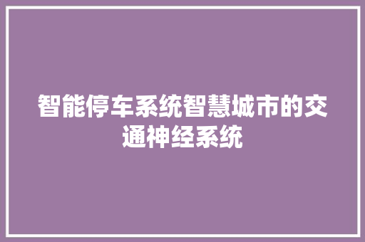 智能停车系统智慧城市的交通神经系统