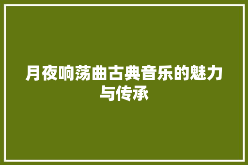 月夜响荡曲古典音乐的魅力与传承  第1张