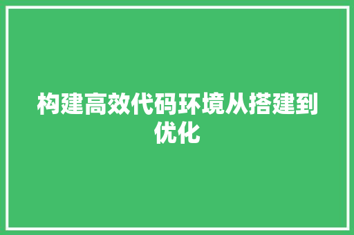 构建高效代码环境从搭建到优化