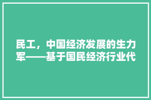 民工，中国经济发展的生力军——基于国民经济行业代码的解读