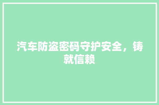 汽车防盗密码守护安全，铸就信赖