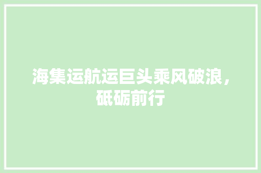海集运航运巨头乘风破浪，砥砺前行
