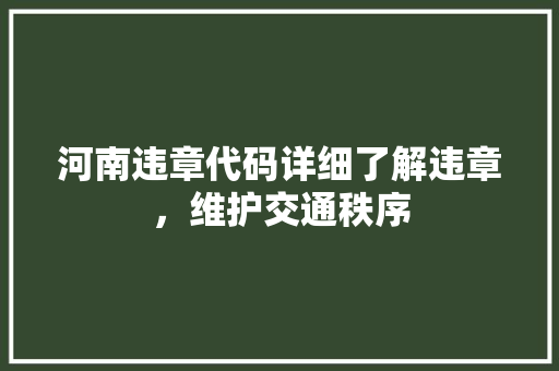 河南违章代码详细了解违章，维护交通秩序