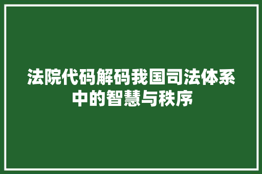 法院代码解码我国司法体系中的智慧与秩序
