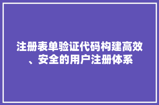 注册表单验证代码构建高效、安全的用户注册体系