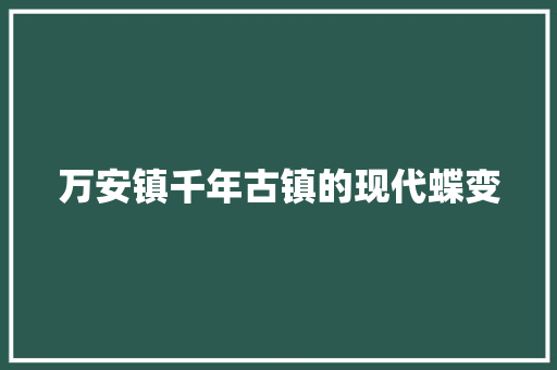 万安镇千年古镇的现代蝶变