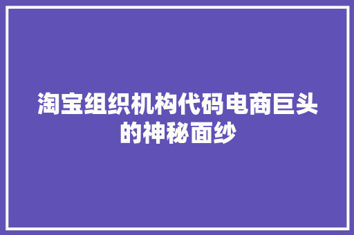 淘宝组织机构代码电商巨头的神秘面纱