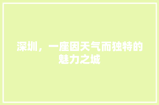 深圳，一座因天气而独特的魅力之城