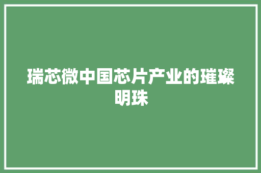 瑞芯微中国芯片产业的璀璨明珠