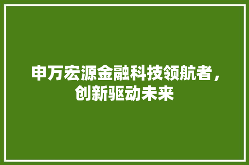 申万宏源金融科技领航者，创新驱动未来
