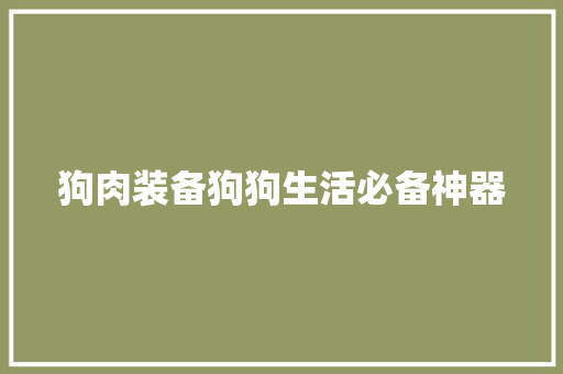 狗肉装备狗狗生活必备神器