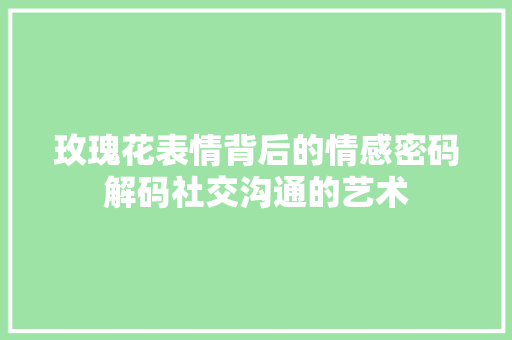 玫瑰花表情背后的情感密码解码社交沟通的艺术
