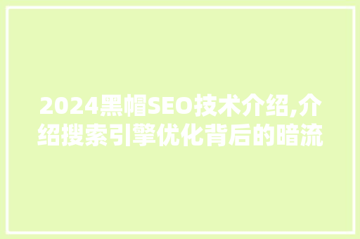 2024黑帽SEO技术介绍,介绍搜索引擎优化背后的暗流涌动