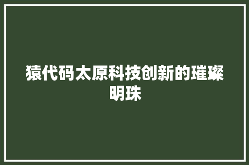 猿代码太原科技创新的璀璨明珠