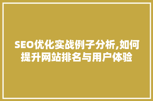 SEO优化实战例子分析,如何提升网站排名与用户体验