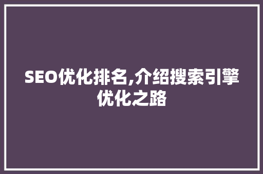 SEO优化排名,介绍搜索引擎优化之路