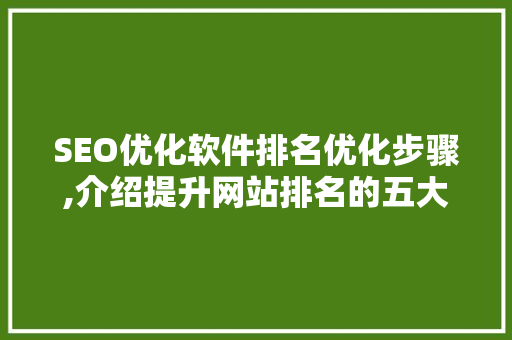 SEO优化软件排名优化步骤,介绍提升网站排名的五大方法
