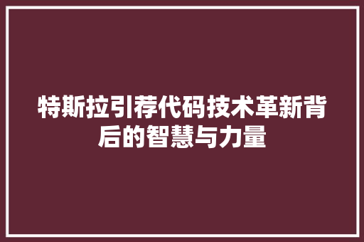 特斯拉引荐代码技术革新背后的智慧与力量