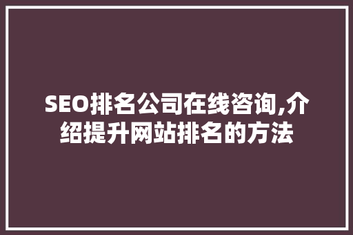 SEO排名公司在线咨询,介绍提升网站排名的方法