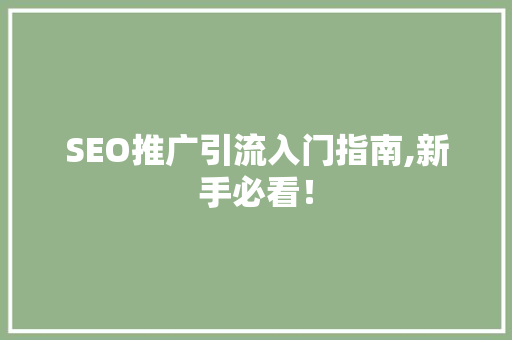 SEO推广引流入门指南,新手必看！