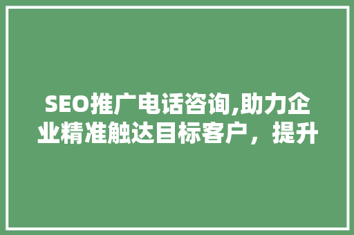 SEO推广电话咨询,助力企业精准触达目标客户，提升转化率