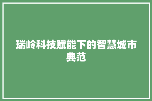 瑞岭科技赋能下的智慧城市典范
