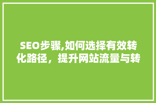 SEO步骤,如何选择有效转化路径，提升网站流量与转化率