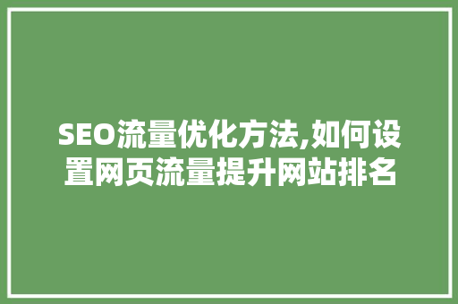 SEO流量优化方法,如何设置网页流量提升网站排名