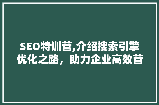 SEO特训营,介绍搜索引擎优化之路，助力企业高效营销