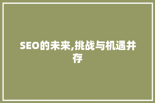 SEO的未来,挑战与机遇并存