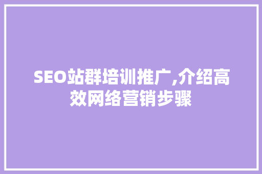 SEO站群培训推广,介绍高效网络营销步骤