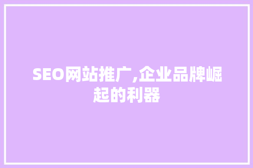 SEO网站推广,企业品牌崛起的利器