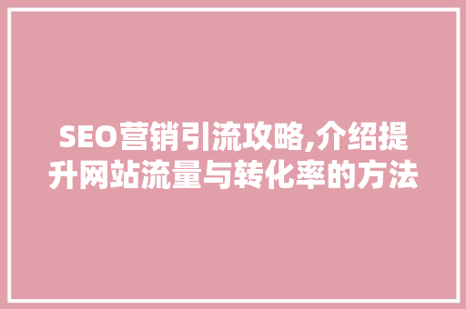 SEO营销引流攻略,介绍提升网站流量与转化率的方法