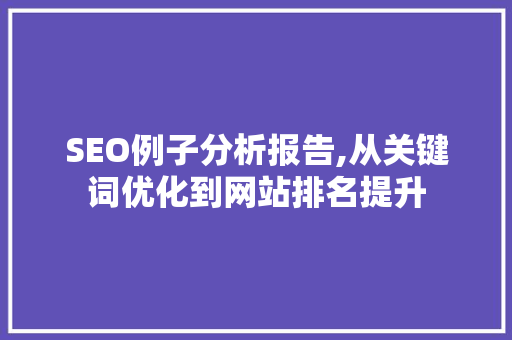 SEO例子分析报告,从关键词优化到网站排名提升