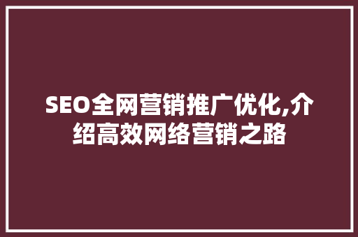 SEO全网营销推广优化,介绍高效网络营销之路