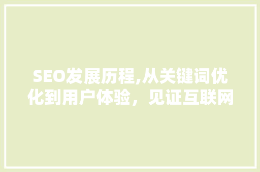 SEO发展历程,从关键词优化到用户体验，见证互联网营销的演变