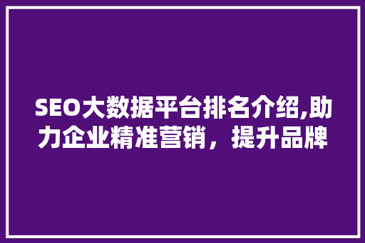 SEO大数据平台排名介绍,助力企业精准营销，提升品牌影响力