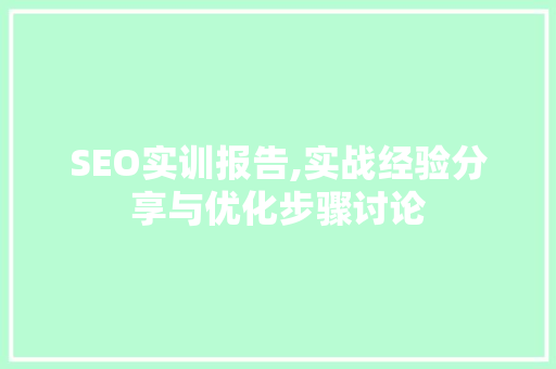 SEO实训报告,实战经验分享与优化步骤讨论
